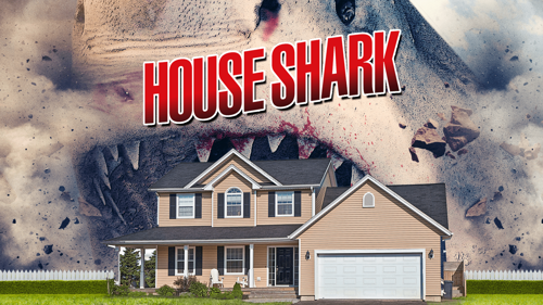 House Shark
