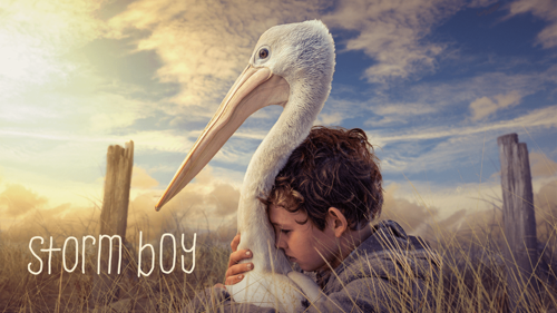 Storm Boy