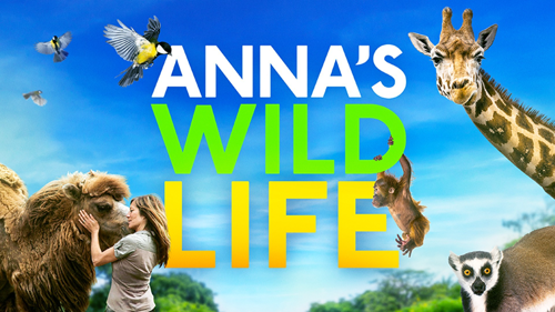 Anna's Wild Life