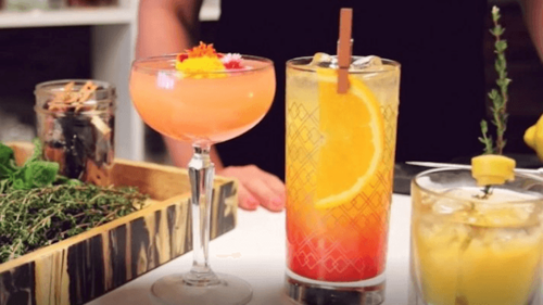 Cocktail Recipes