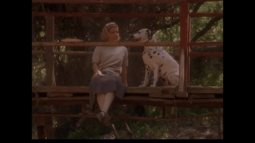 Operation Dalmation: The Big Adventure