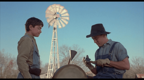 Where The Red Fern Grows