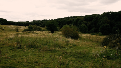 Caught in a Landslide